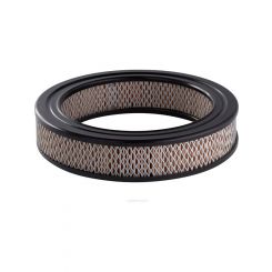 Ryco Air Filter