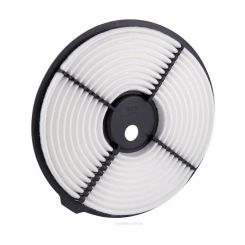 Ryco Air Filter