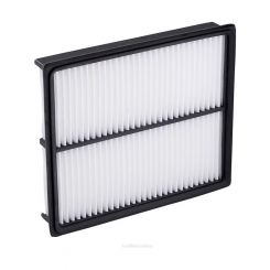 Ryco Air Filter
