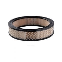 Ryco Air Filter