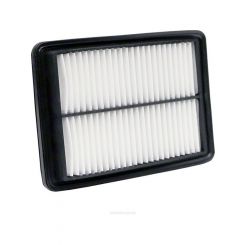 Ryco Air Filter