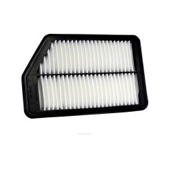 Ryco Air Filter