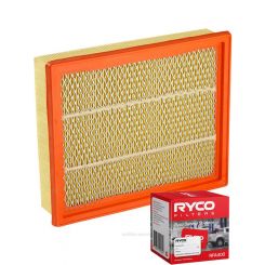 Ryco Air Filter A1618 + Service Stickers