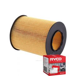Ryco Air Filter A1673 + Service Stickers