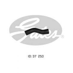 Gates Radiator Hose