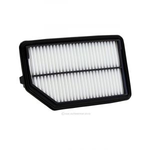 Ryco Air Filter