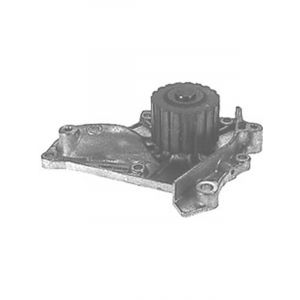 Protex Water Pump