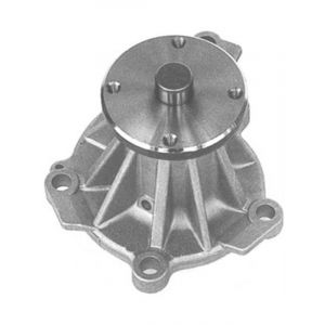 Protex Water Pump