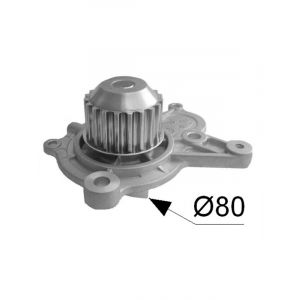 Protex Water Pump