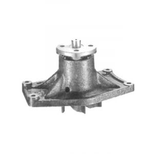 Protex Gold Premium Water Pump