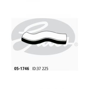 Gates Radiator Hose