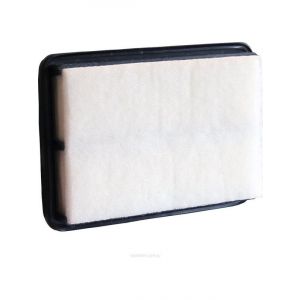 Ryco Air Filter