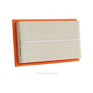 Ryco Air Filter