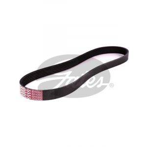 Gates Micro-V Ribbed Belt