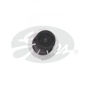 Gates Water Pump