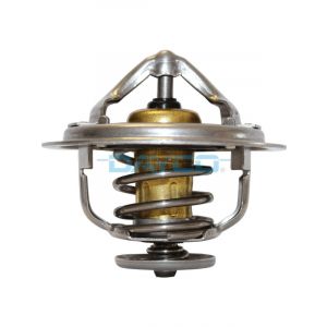 Dayco Thermostat