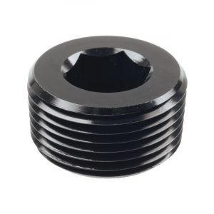 Raceworks Npt Plug 1''