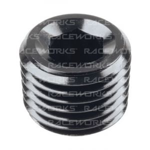 Raceworks Npt Socket Plug 1/8''