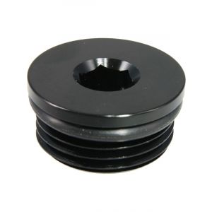 Raceworks An In Hex O-Ring Plug An-12