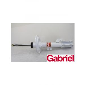 Gabriel Strut Front RH Side
