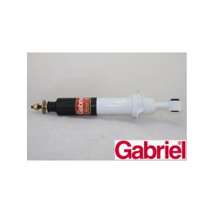 Gabriel Strut Front