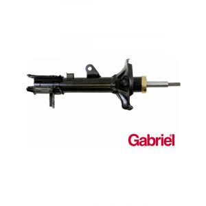 Gabriel Strut Rear RH Side