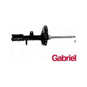 Gabriel Strut Rear RH Side