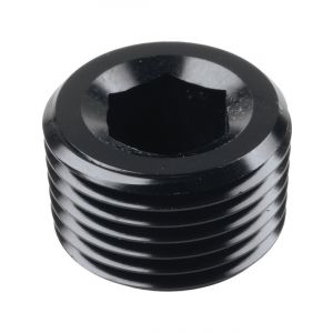 Raceworks 3/8 Npt Plug