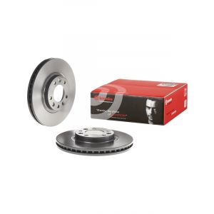 Brembo Brake Rotor
