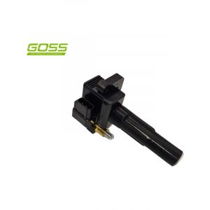 Goss Ignition Coil