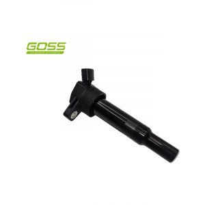 Goss Ignition Coil