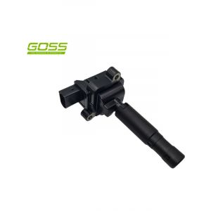Goss Ignition Coil