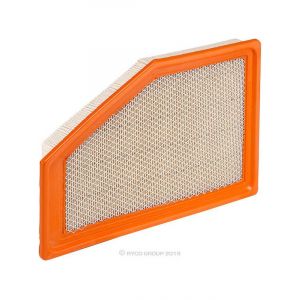 Ryco Air Filter