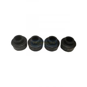 Transgold Front Radius Arm To Chassis Bushes