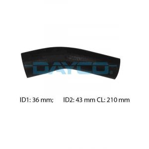 Dayco Moulded Radiator Hose