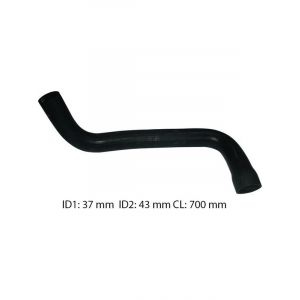 Dayco Moulded Radiator Hose
