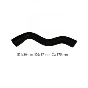 Dayco Moulded Radiator Hose