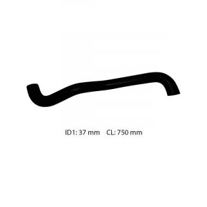 Dayco Moulded Radiator Hose