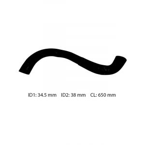 Dayco Moulded Radiator Hose