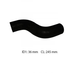 Dayco Moulded Radiator Hose