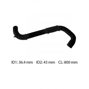 Dayco Moulded Radiator Hose