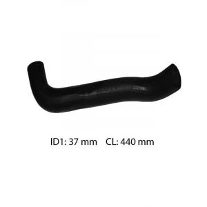 Dayco Moulded Radiator Hose
