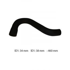 Dayco Moulded Radiator Hose