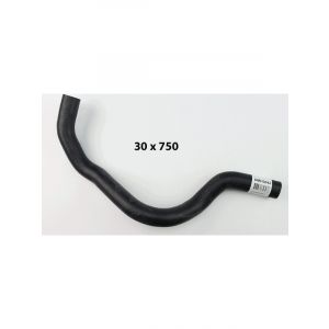 Dayco Moulded Radiator Hose