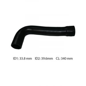 Dayco Moulded Radiator Hose