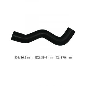 Dayco Moulded Radiator Hose