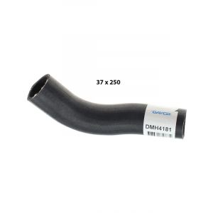 Dayco Moulded Radiator Hose