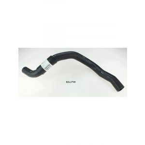 Dayco Moulded Radiator Hose