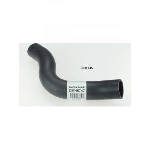 Dayco Moulded Radiator Hose