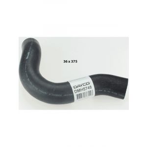 Dayco Moulded Radiator Hose